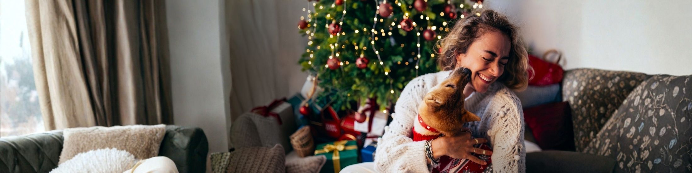 Pluxee Gift for Christmas 2026
