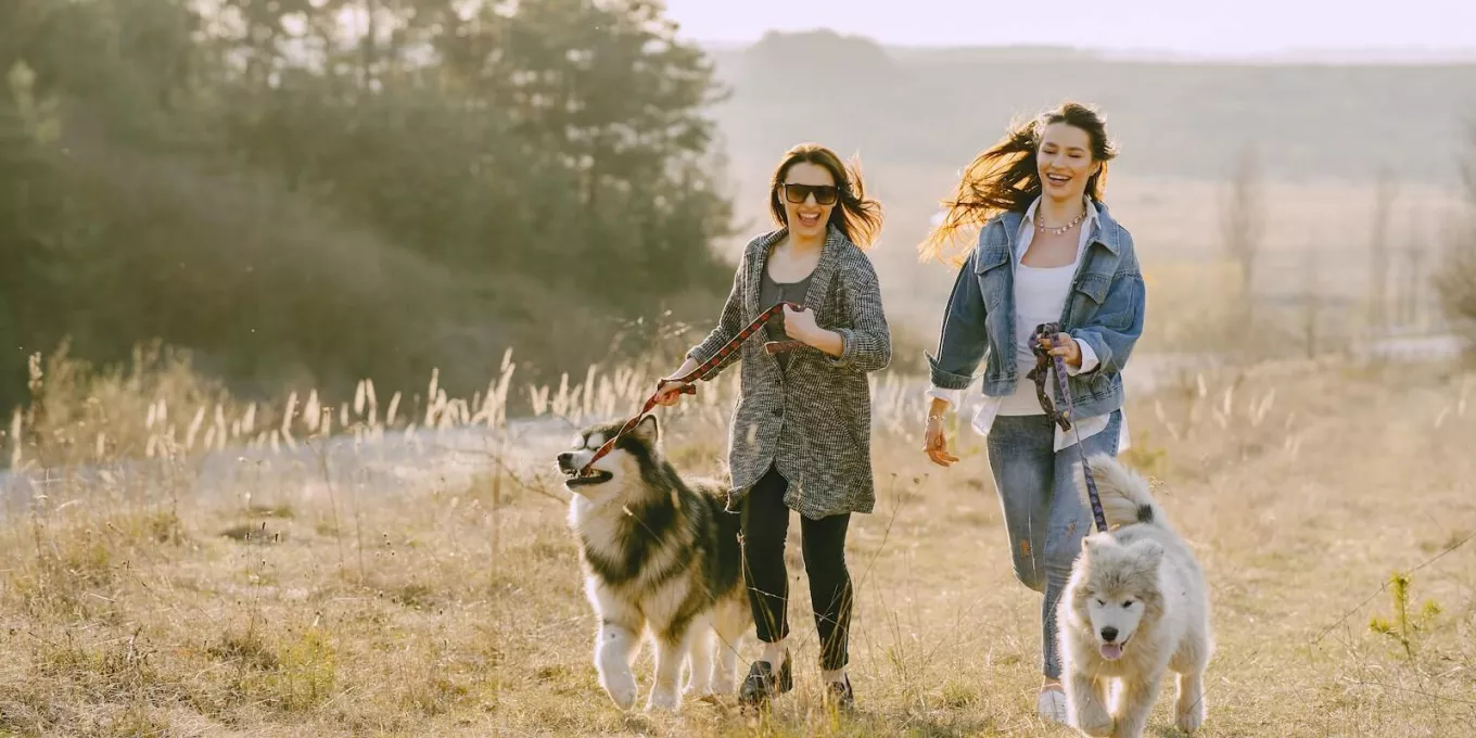 Pracodawco, czy Twoi pracownicy zachowują work-life balance? 