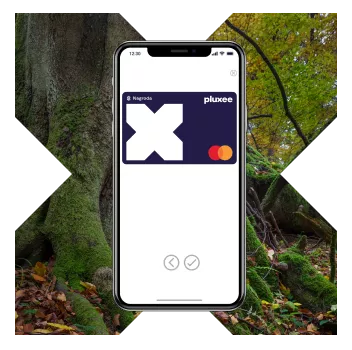 Pluxee Nagroda x Wieczne Lasy Promocja