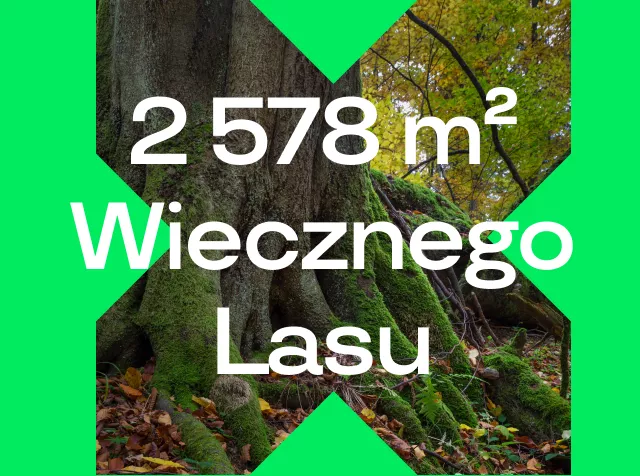 Wieczny las