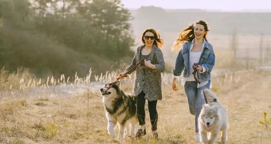 Pracodawco, czy Twoi pracownicy zachowują work-life balance?